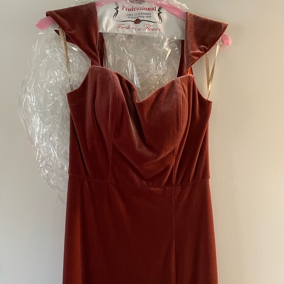 BHLDN Jenny Yoo Issa Velvet bridesmaid Dress - Picture 10 of 15
